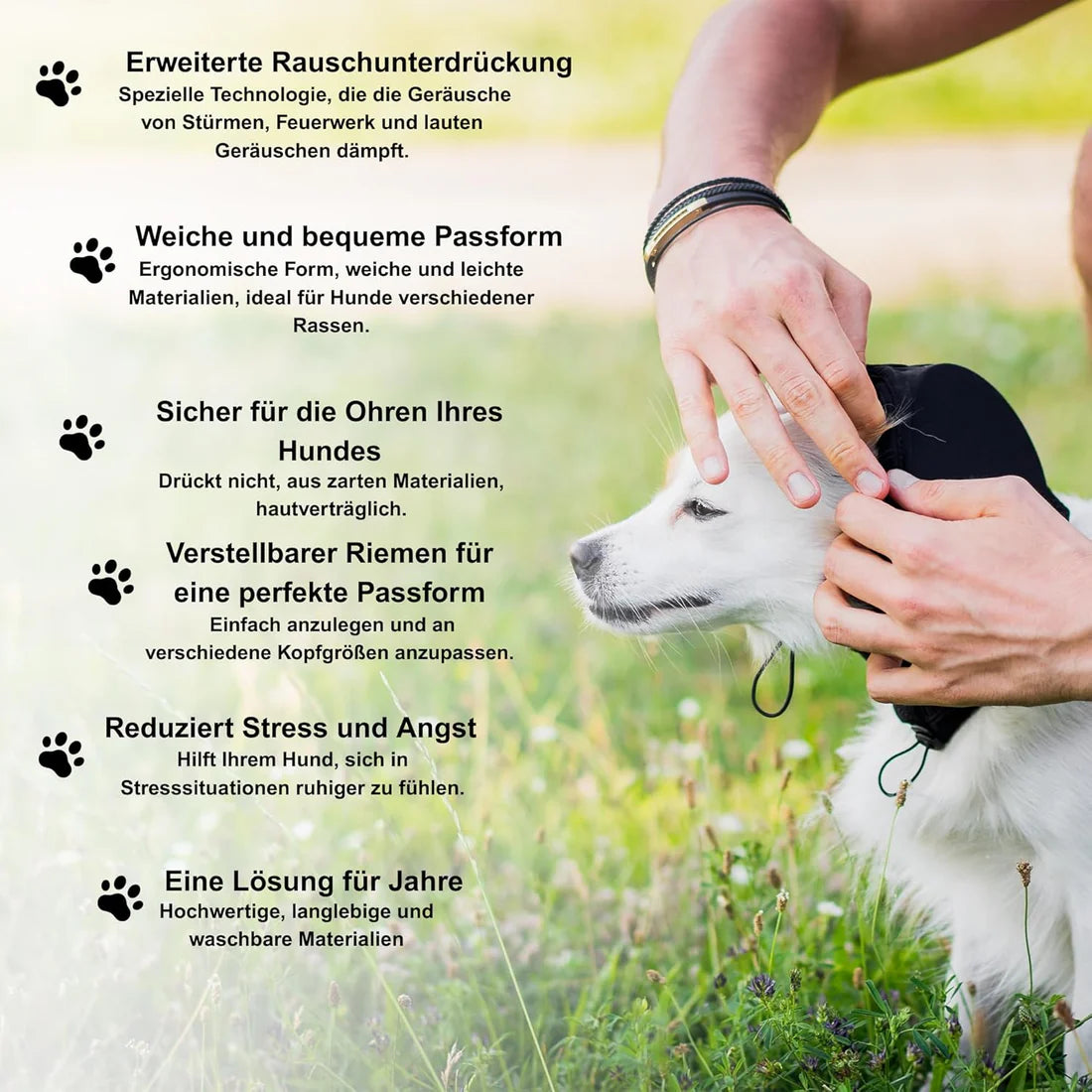 Gehörschutz – Ruhe und Schutz vor lauten Geräuschen